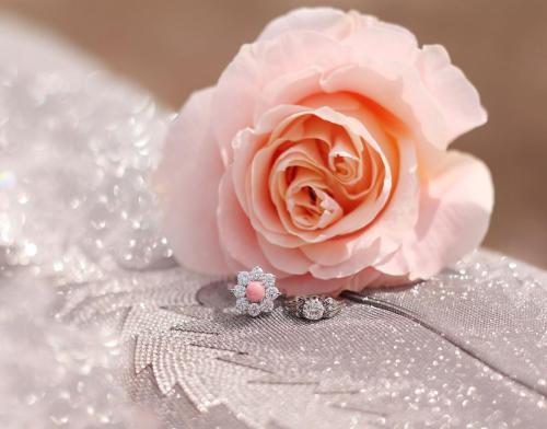 The One Bride Guide V17I2 cover shoot 21